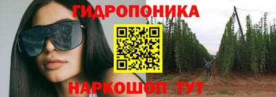 шишки Коммунар