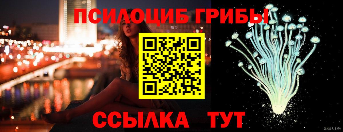 Псилоцибиновые грибы Magic Shrooms  Вход с VPN  Егорьевск  Галлюциногенные грибы ЛСД 